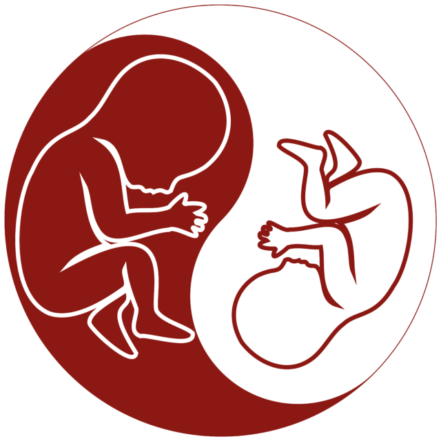 https://assoafgm.fr/wp-content/uploads/2026/09/TAPS-logo-redesign-final-brand-red-5000x5000-1-640x640.png